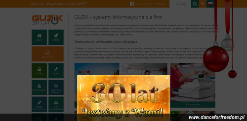guzik-systemy-informatyczne