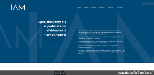 instytut-audytu-mediowego